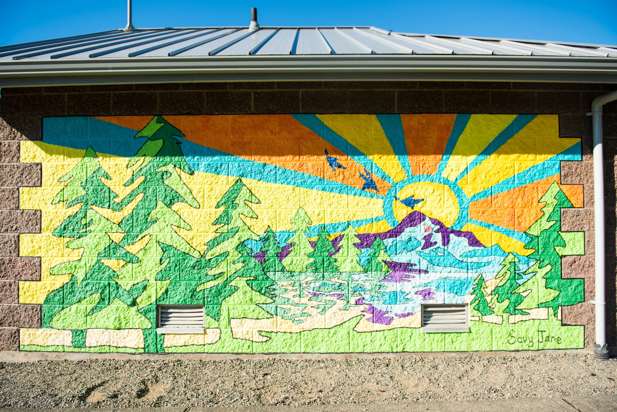 "Abundance of Light"; City of Bonney Lake; 12x6'; Completed 2015