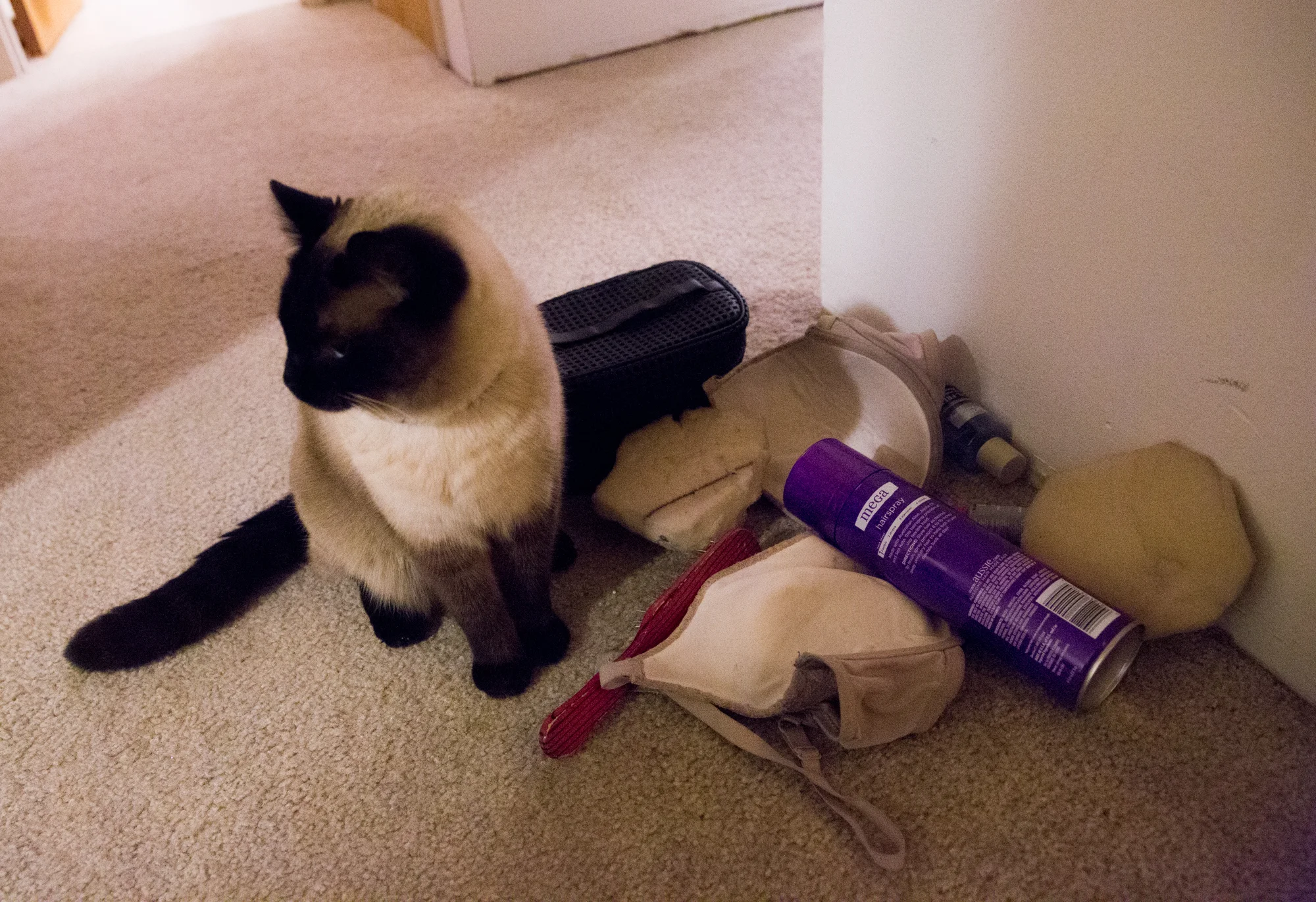  Mark's one-eyed cat Sephora stops to inspect Nicky Serene's drag accessories, including hairspray, a makeup bag, a bra and padding. Mark's drag attire is usually scattered throughout the house as he transforms into Nicky Serene. 