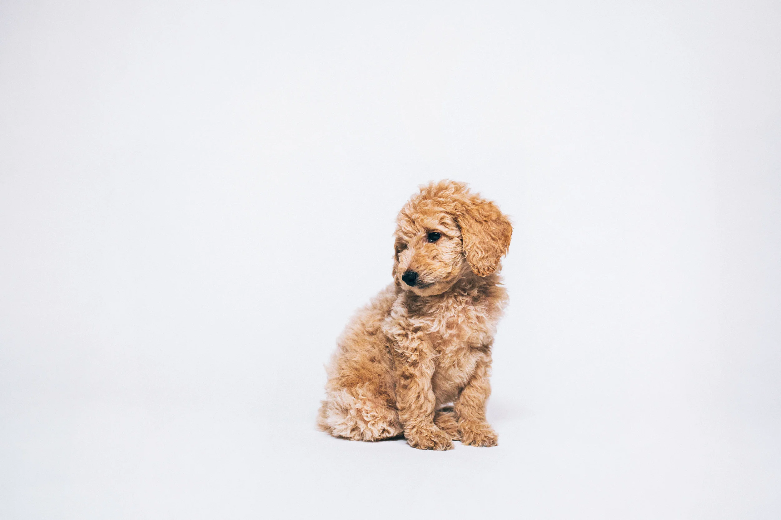 Sunny-Insta3.jpg