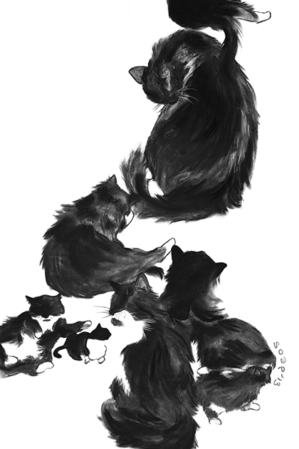 Charcoal on 42" roll