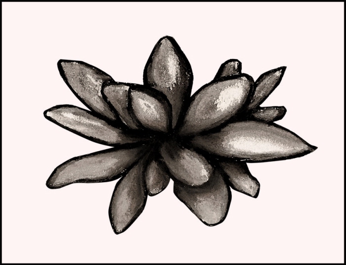 Lotus Flower Charcoal Drawing