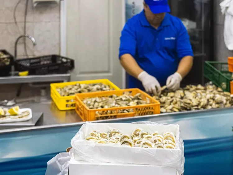 20250401-SEA-GlobalEats2-EstudioComo-03-89a2952528a84b28a90cfaa7a035d604.webp