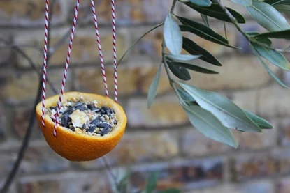 This bird feeder made from an orange is simple and quick to make.