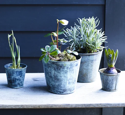VerdigrisPotsCollection_003.jpg