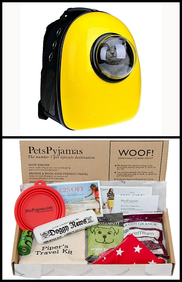 pet travel necessities.jpg