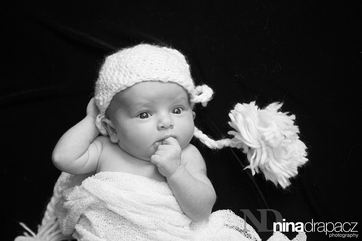 newbornportrait4.jpg