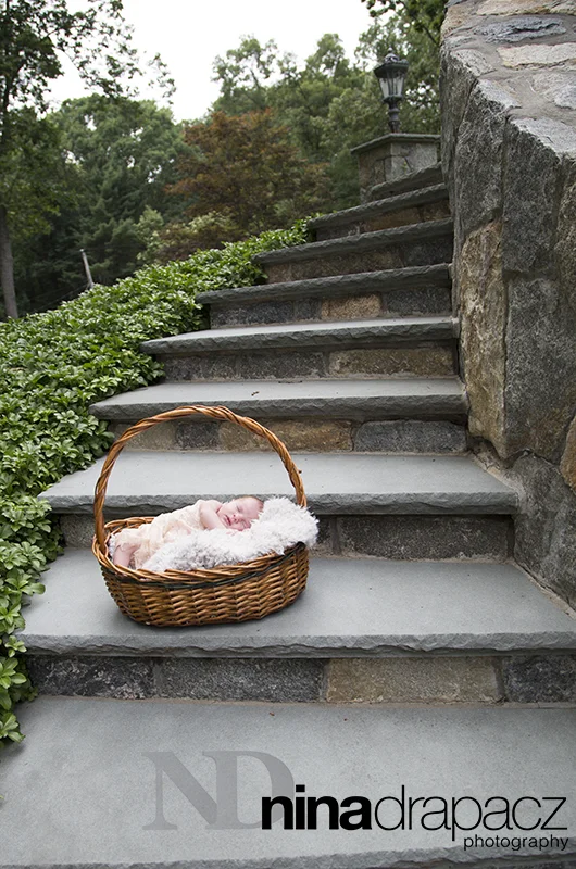 newbornportrait2.jpg
