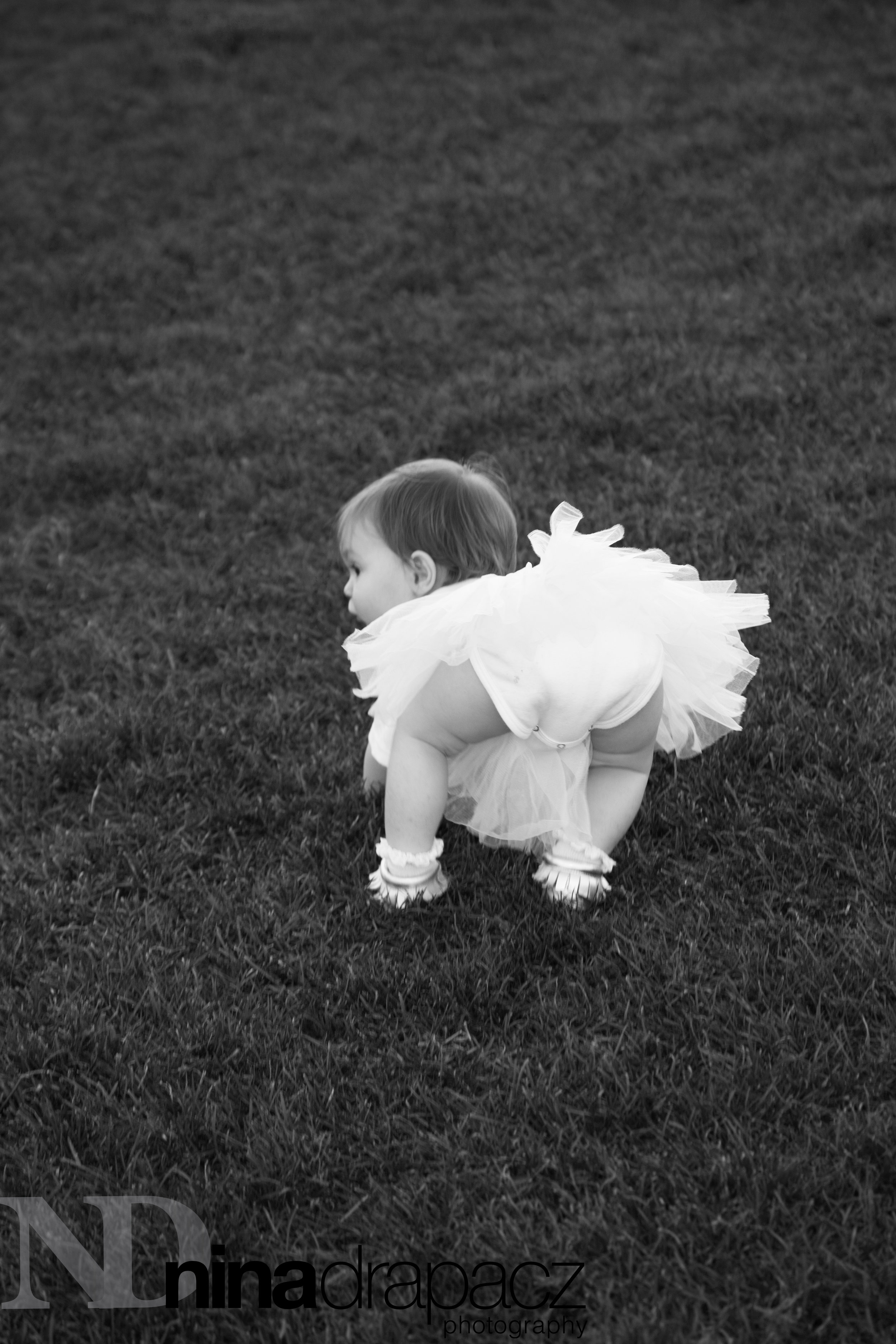 toddlerphotography121.jpg