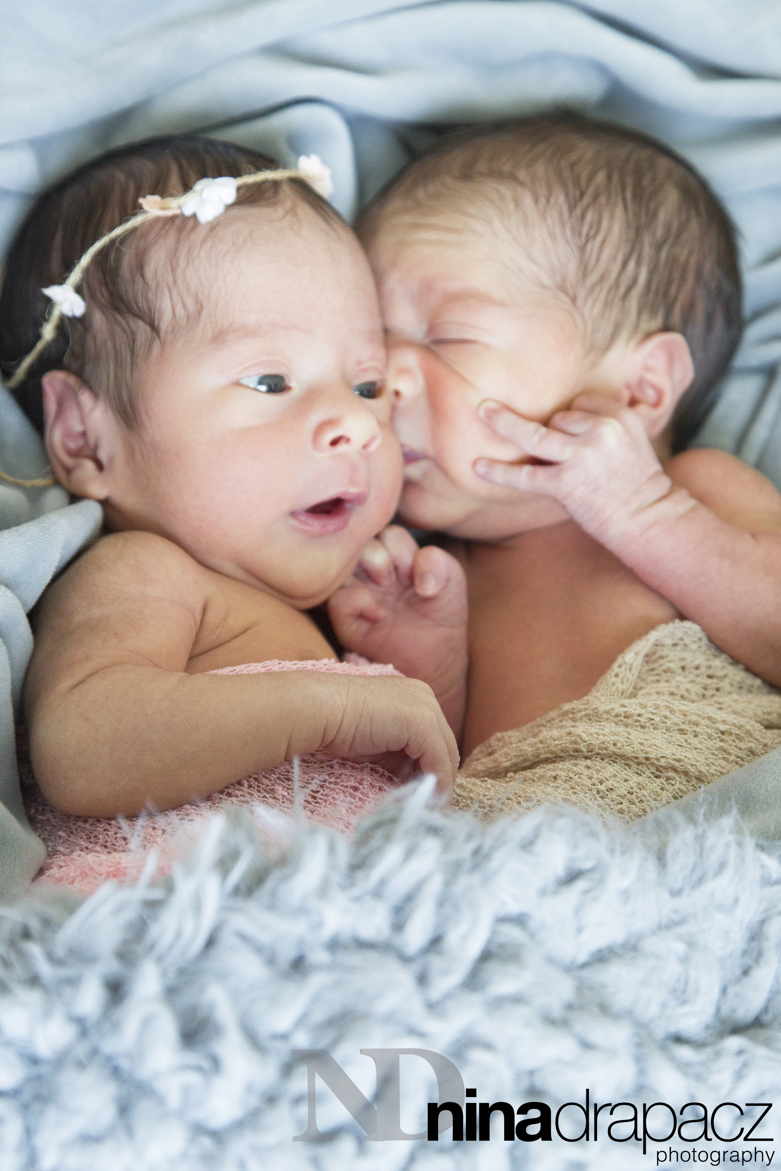newbornbabies.jpg