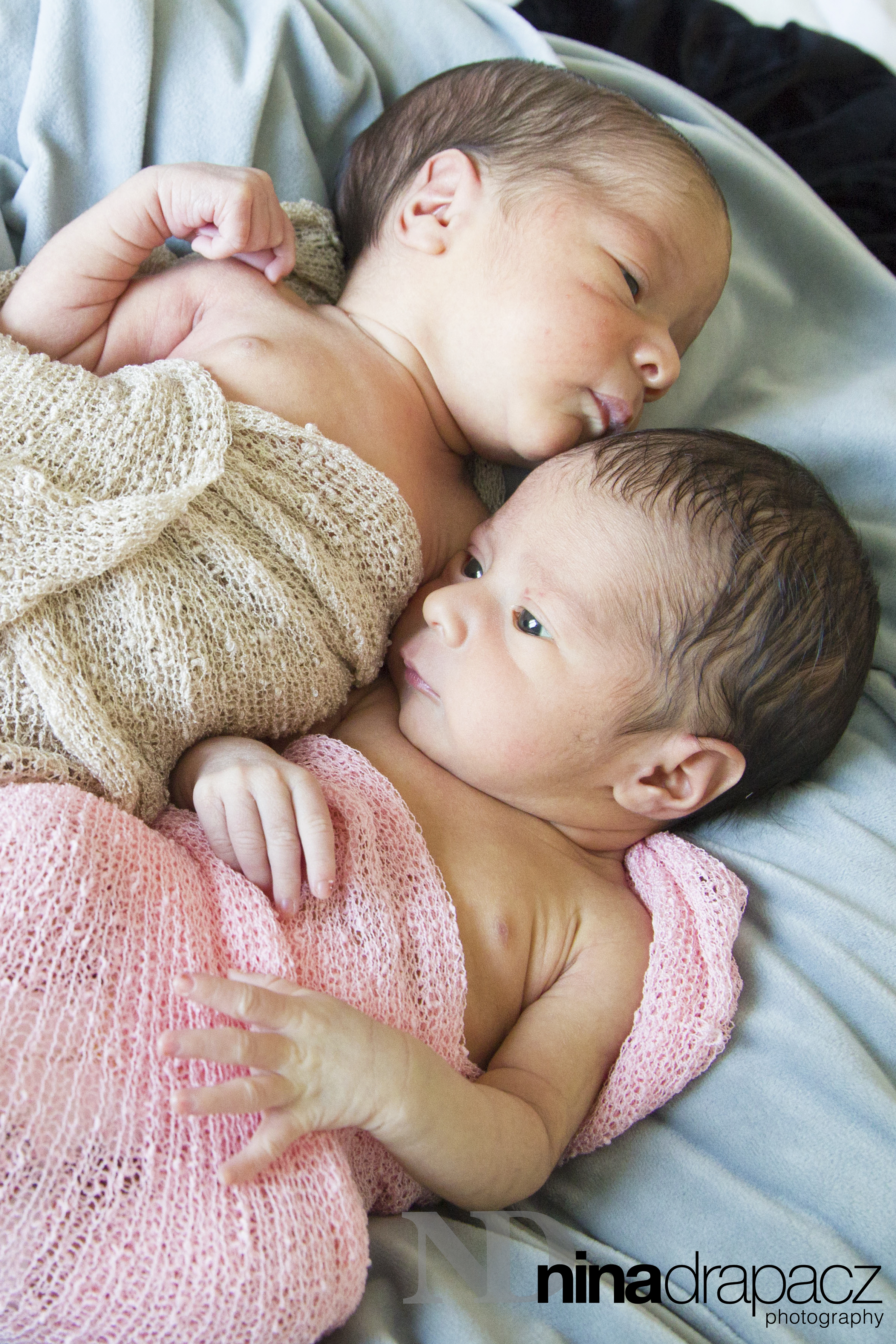 newborntwins2.jpg