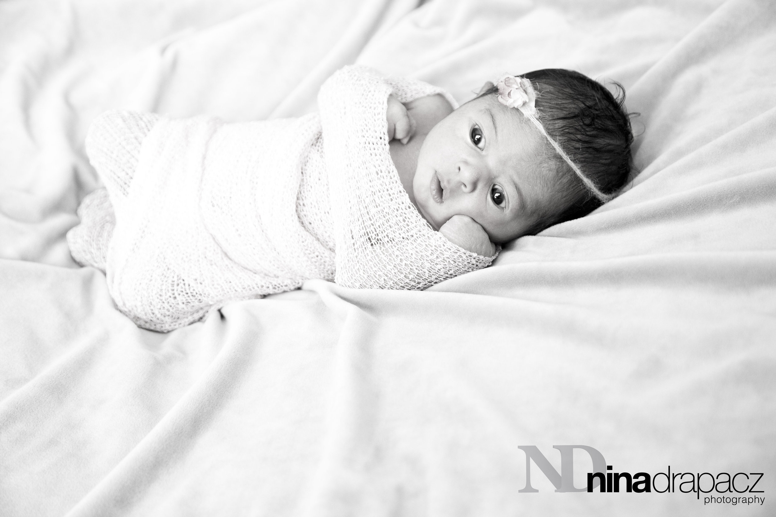 newborngirl56.jpg