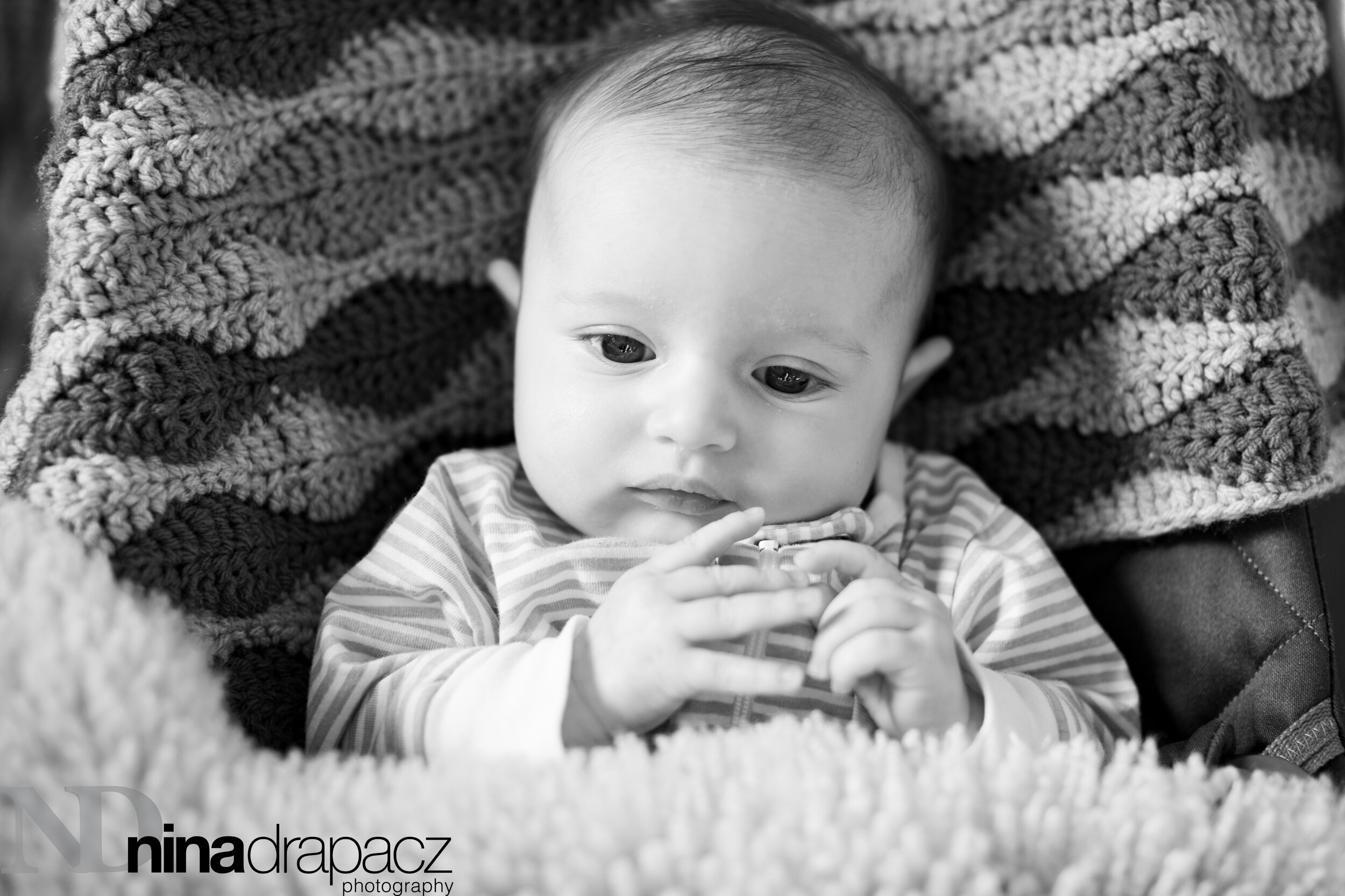 babyphoto-17.jpg