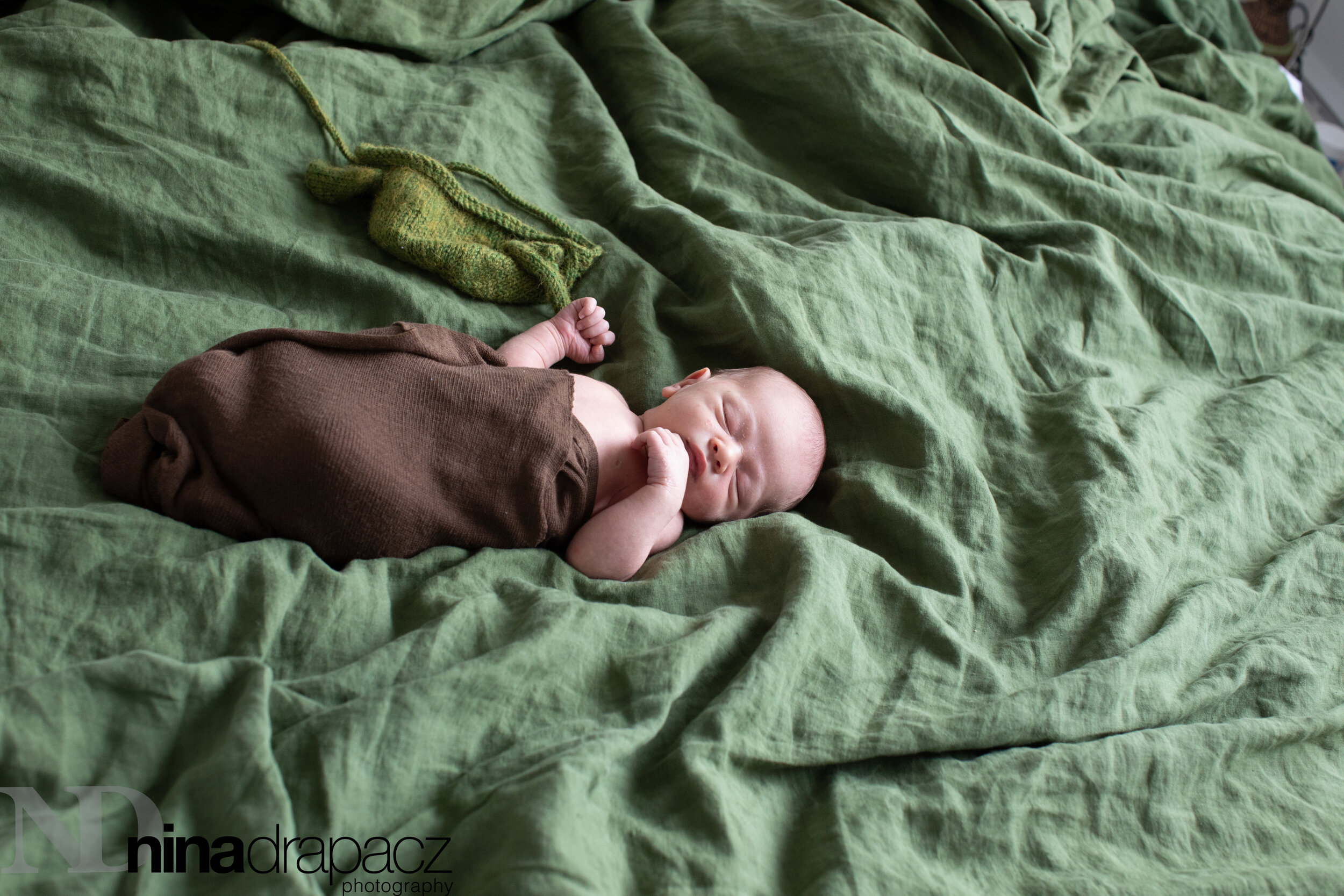 newbornportraits-12.jpg