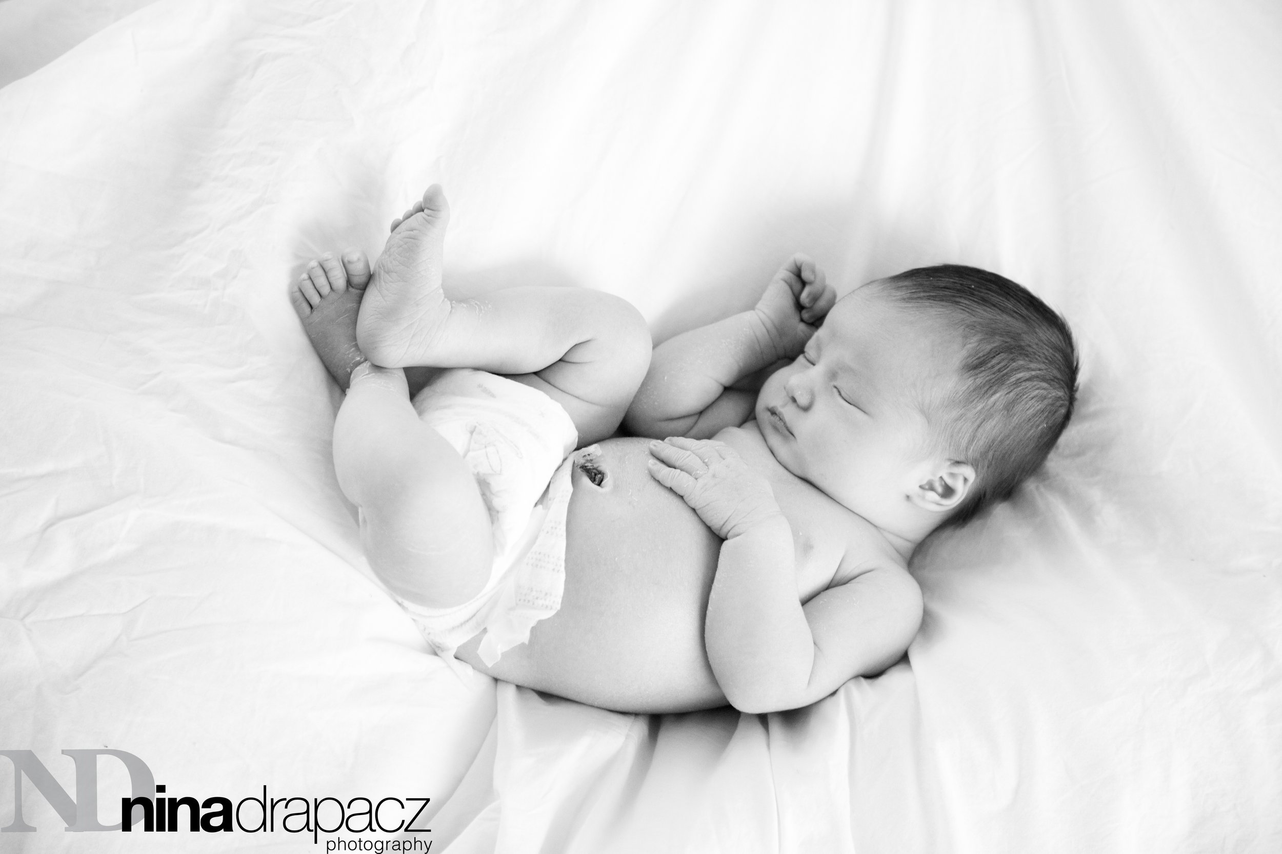 newbornportraits-26.jpg