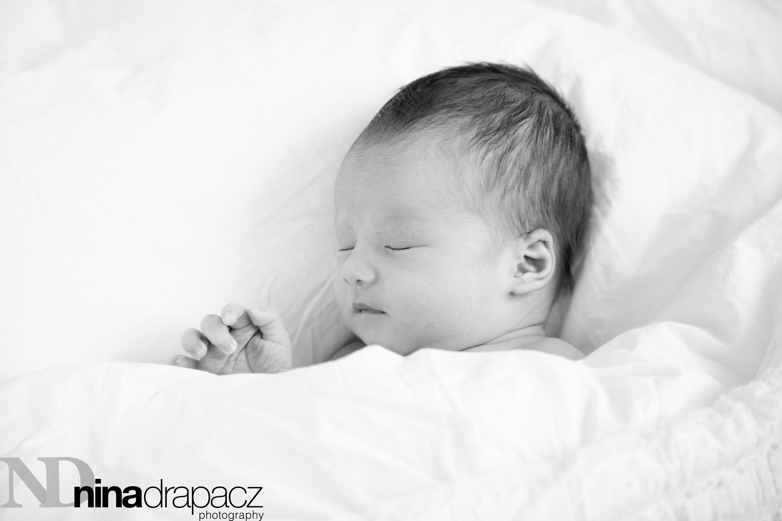 newbornportraits-24.jpg