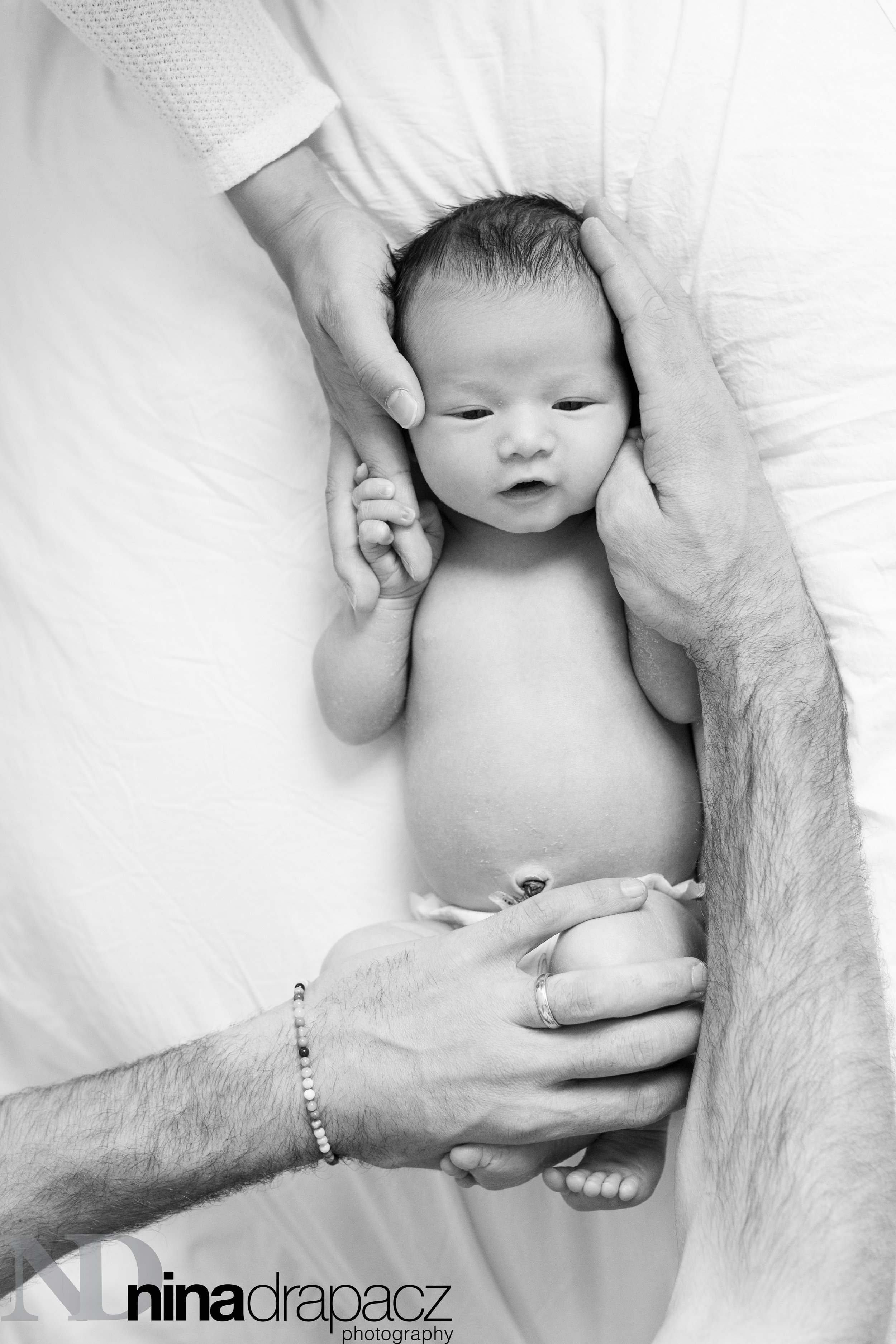 newbornportraits-22.jpg