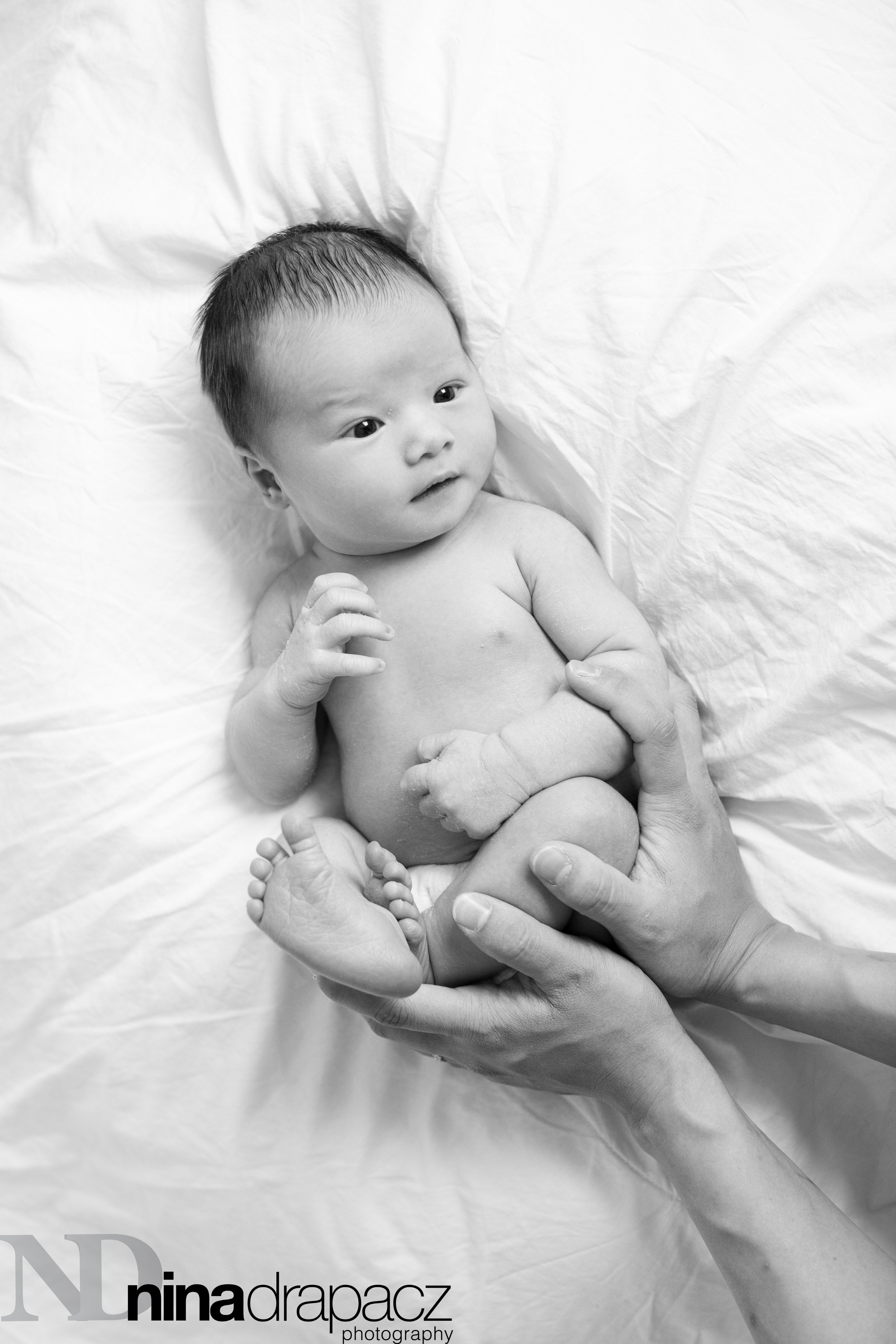 newbornportraits-20.jpg