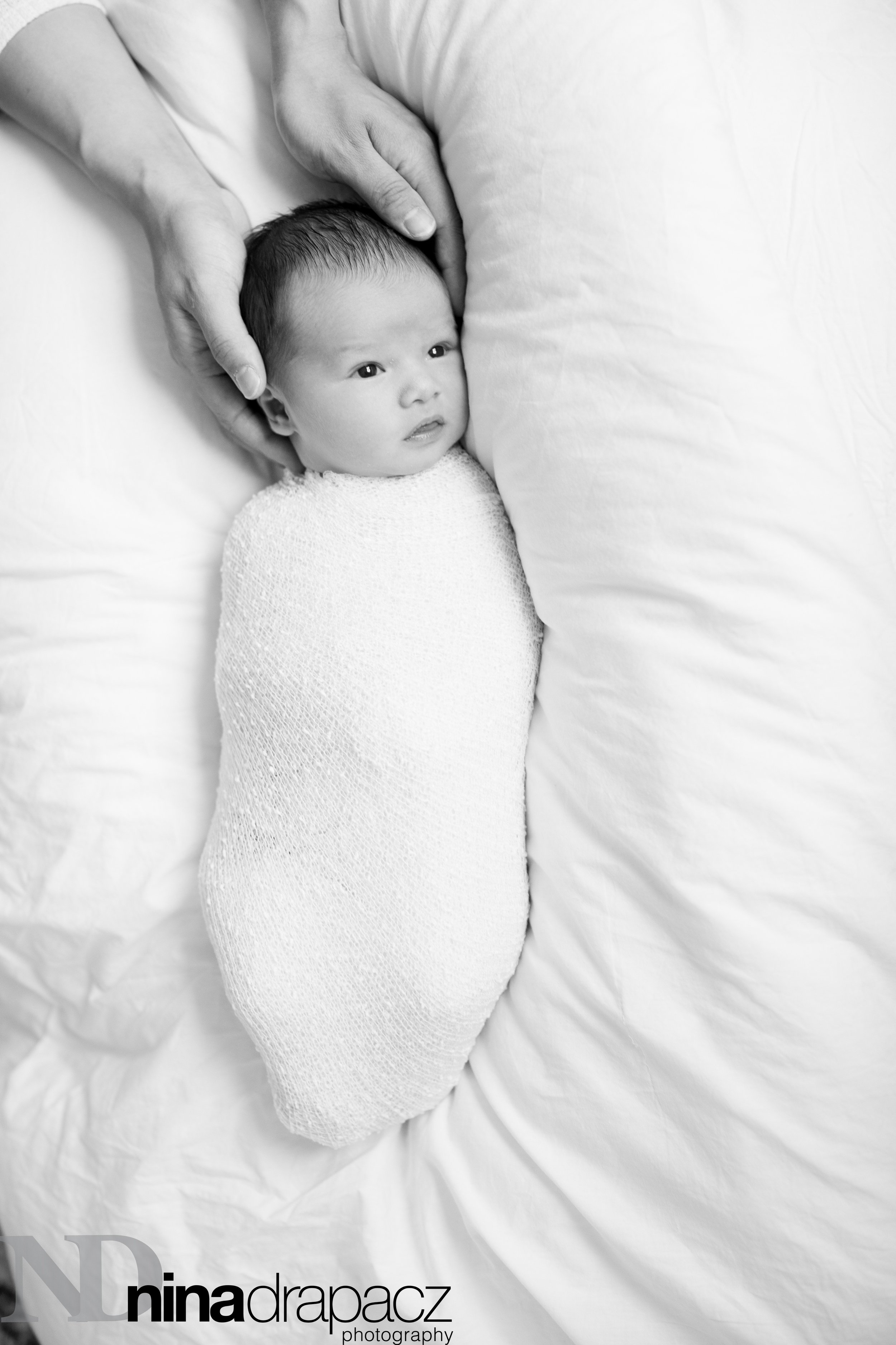 newbornportraits-18.jpg