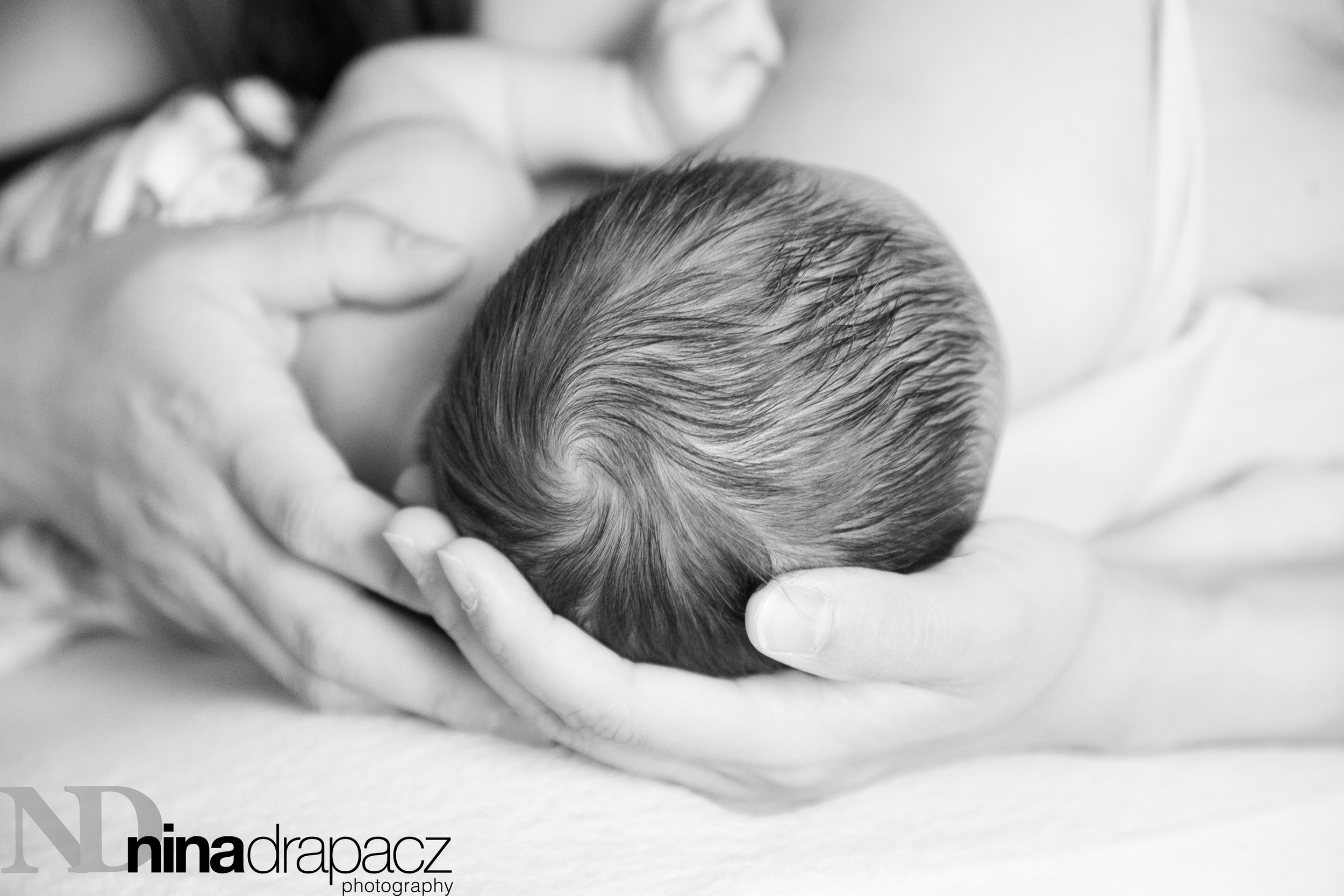 newbornportraits-9.jpg