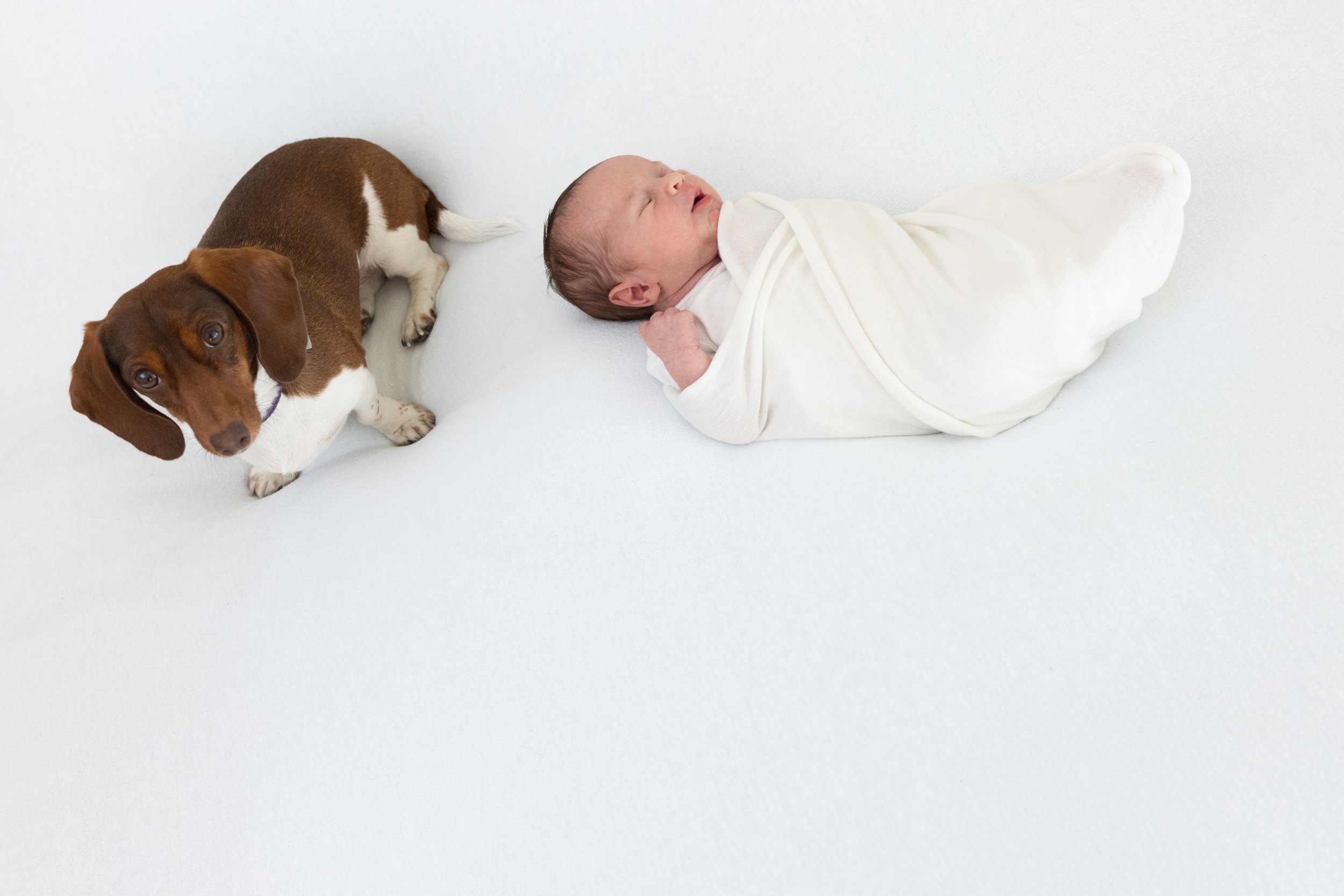 newbornphoto-1.jpg