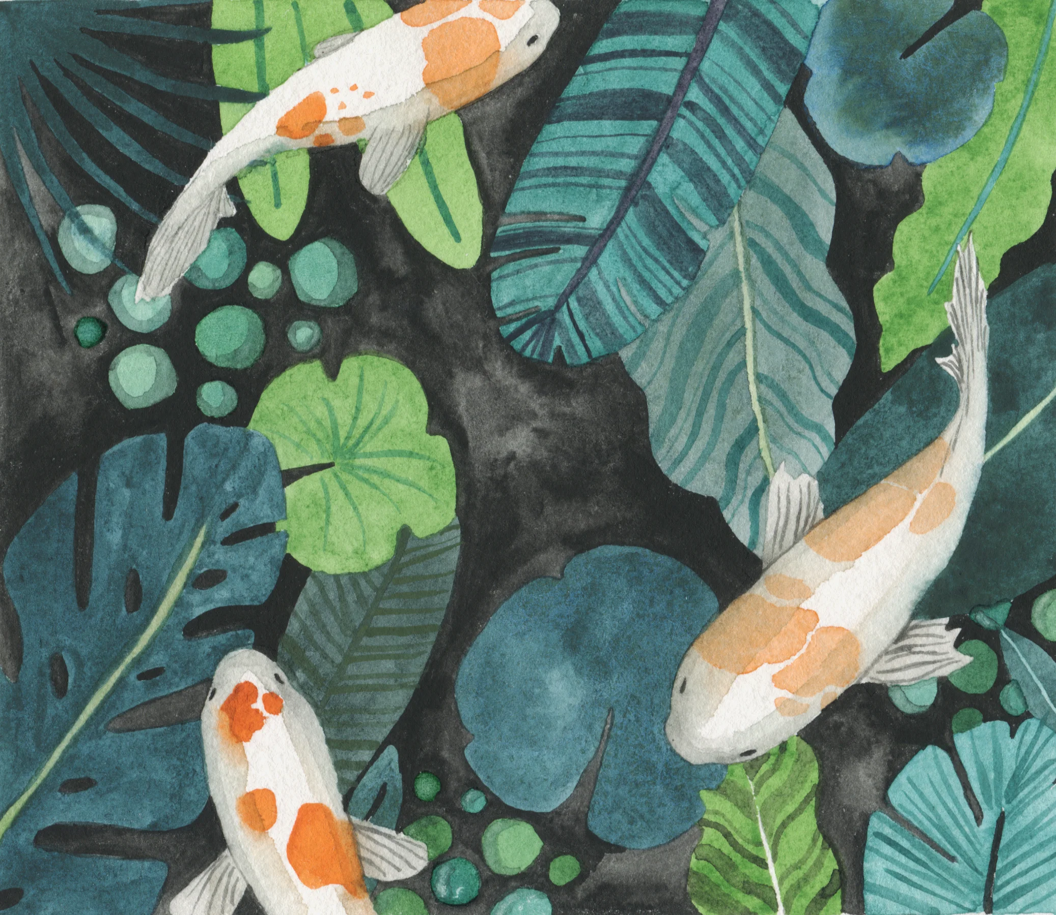 Lily Pad Bethany Eden