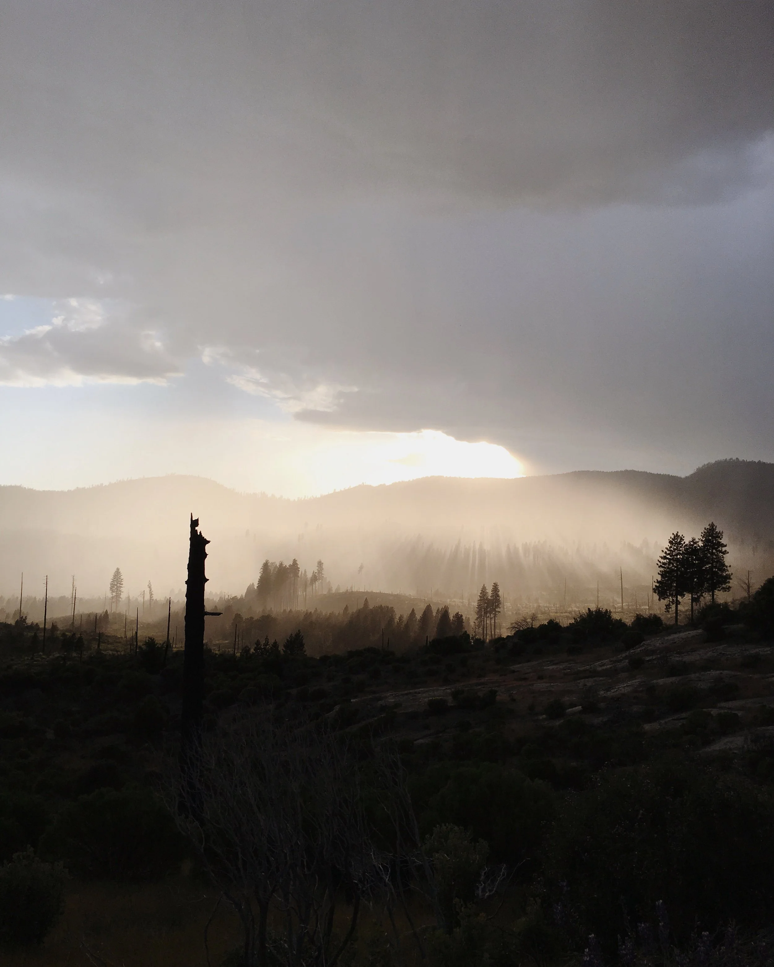 Yosemite & Mono Lake: Back to Back Wonders