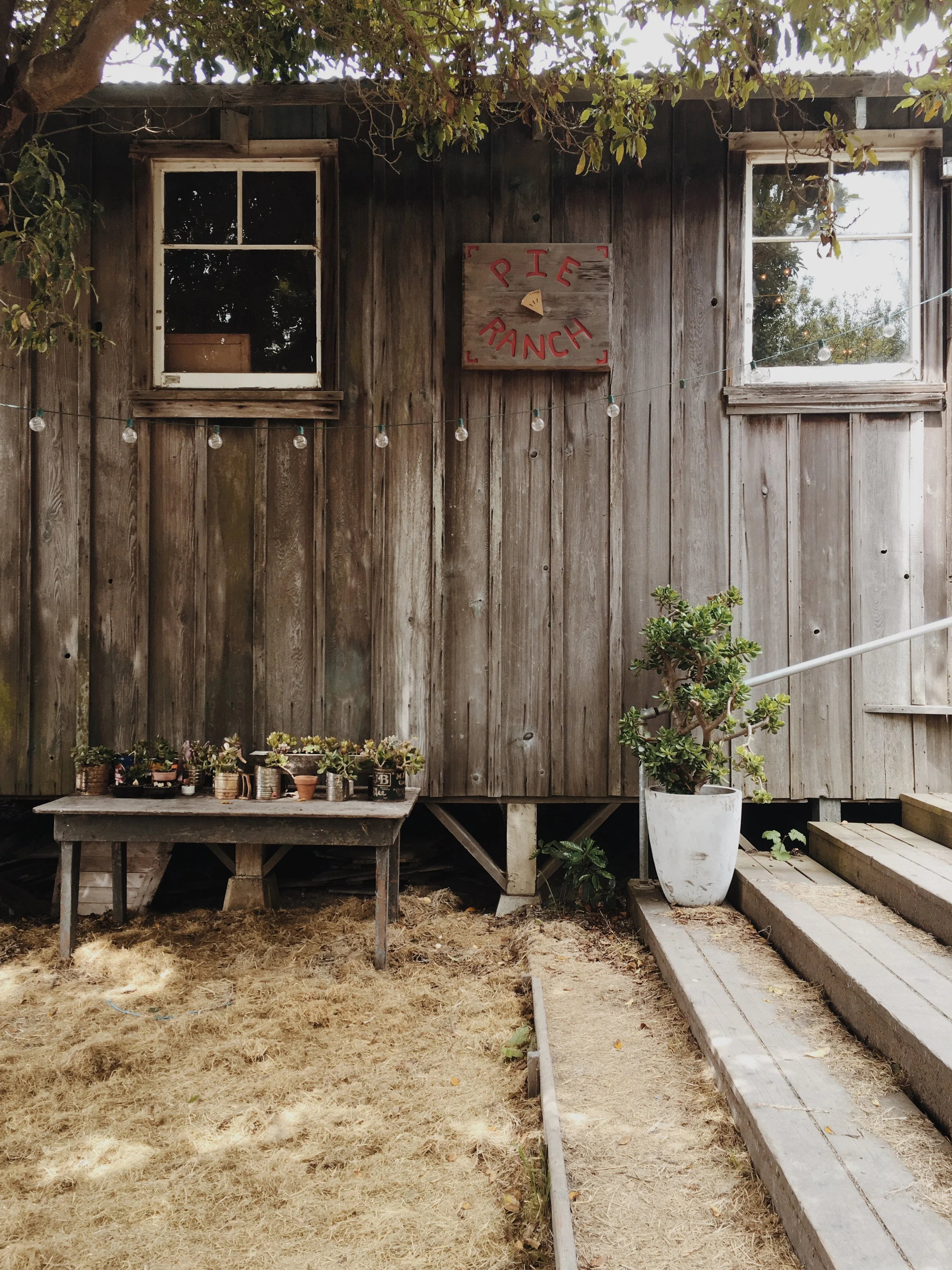 A Stop at The Pie Ranch: California State Route 1 