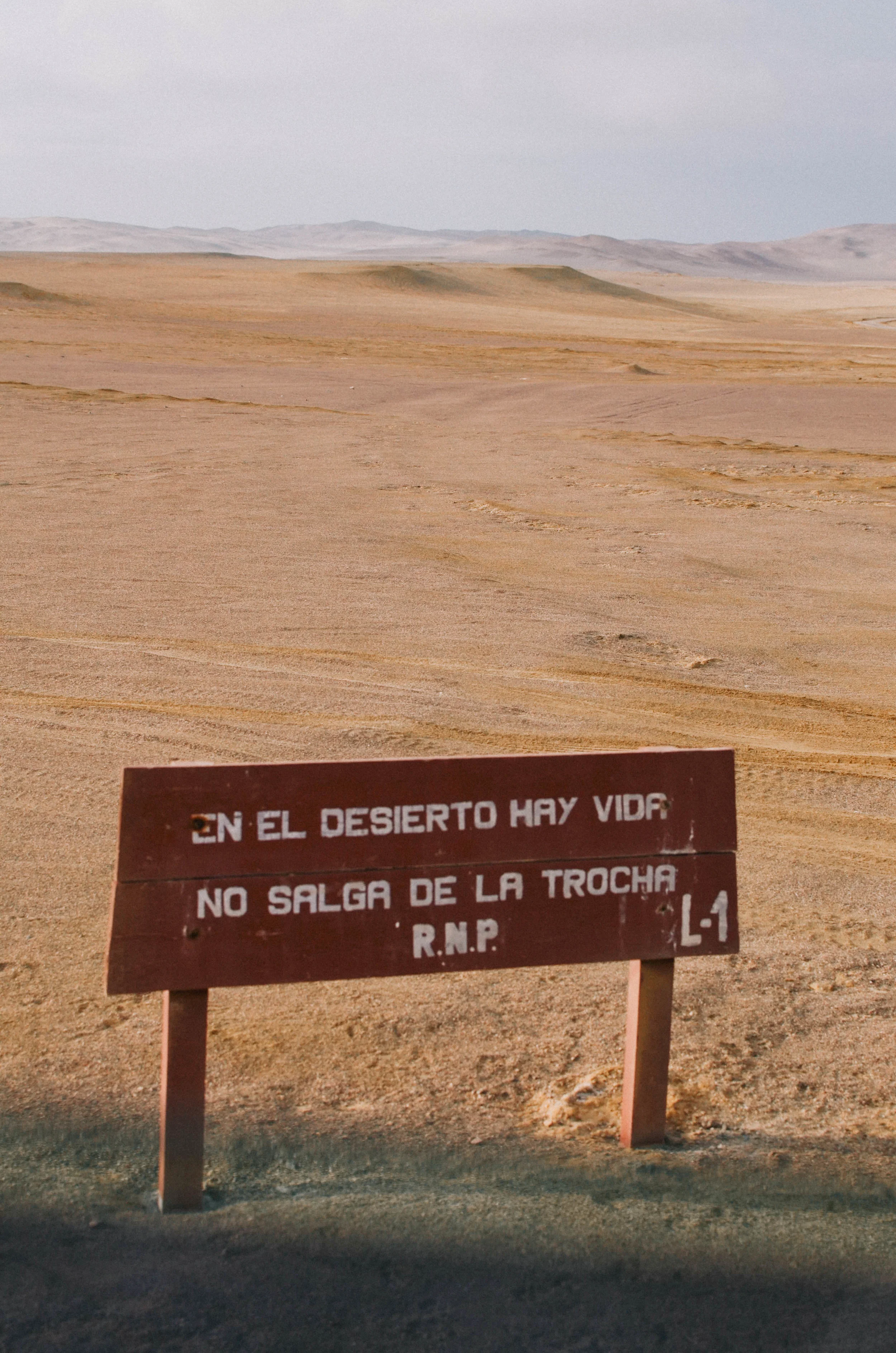 DSC_0625-2.jpg