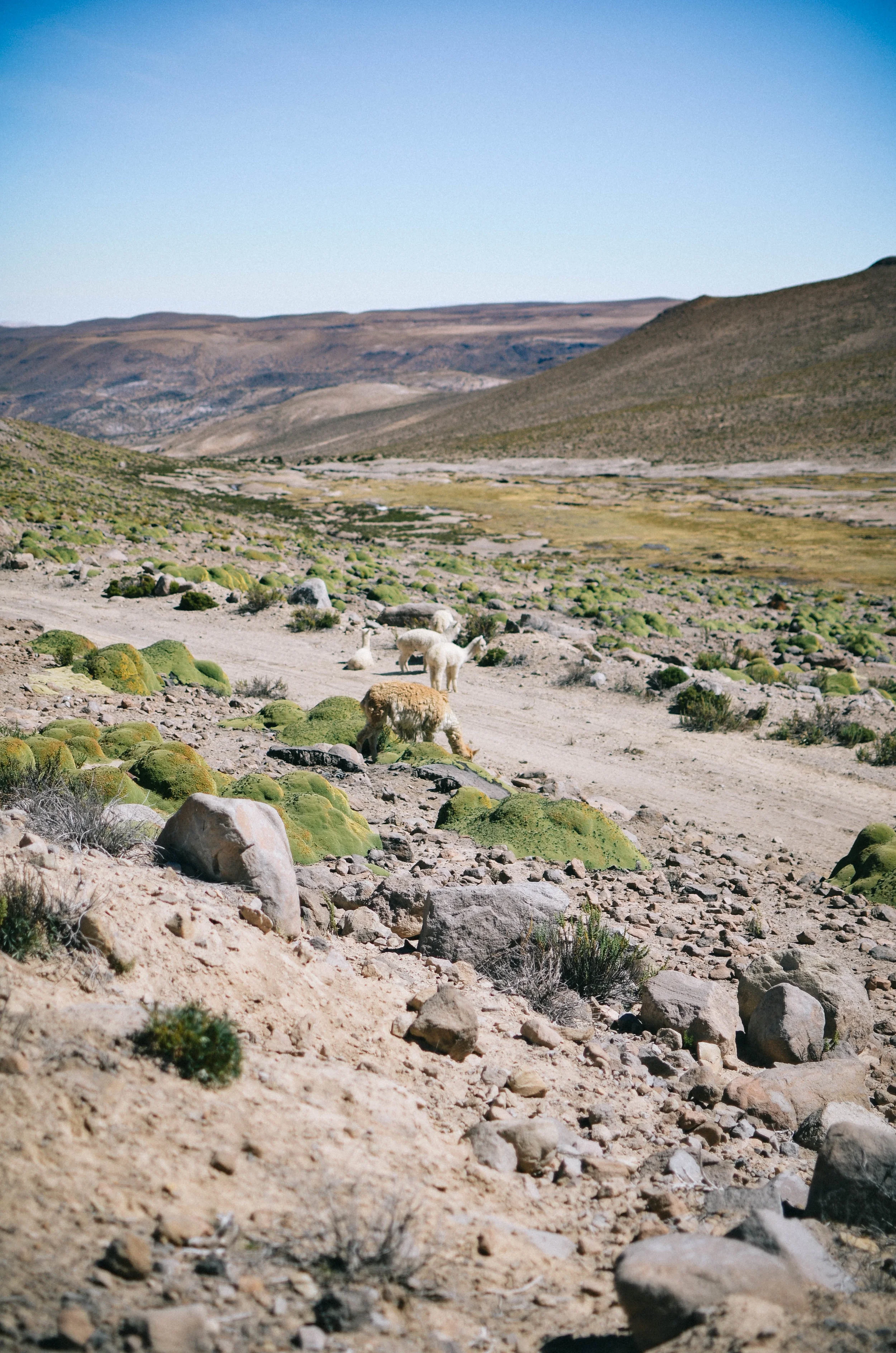 DSC_2034-2.jpg