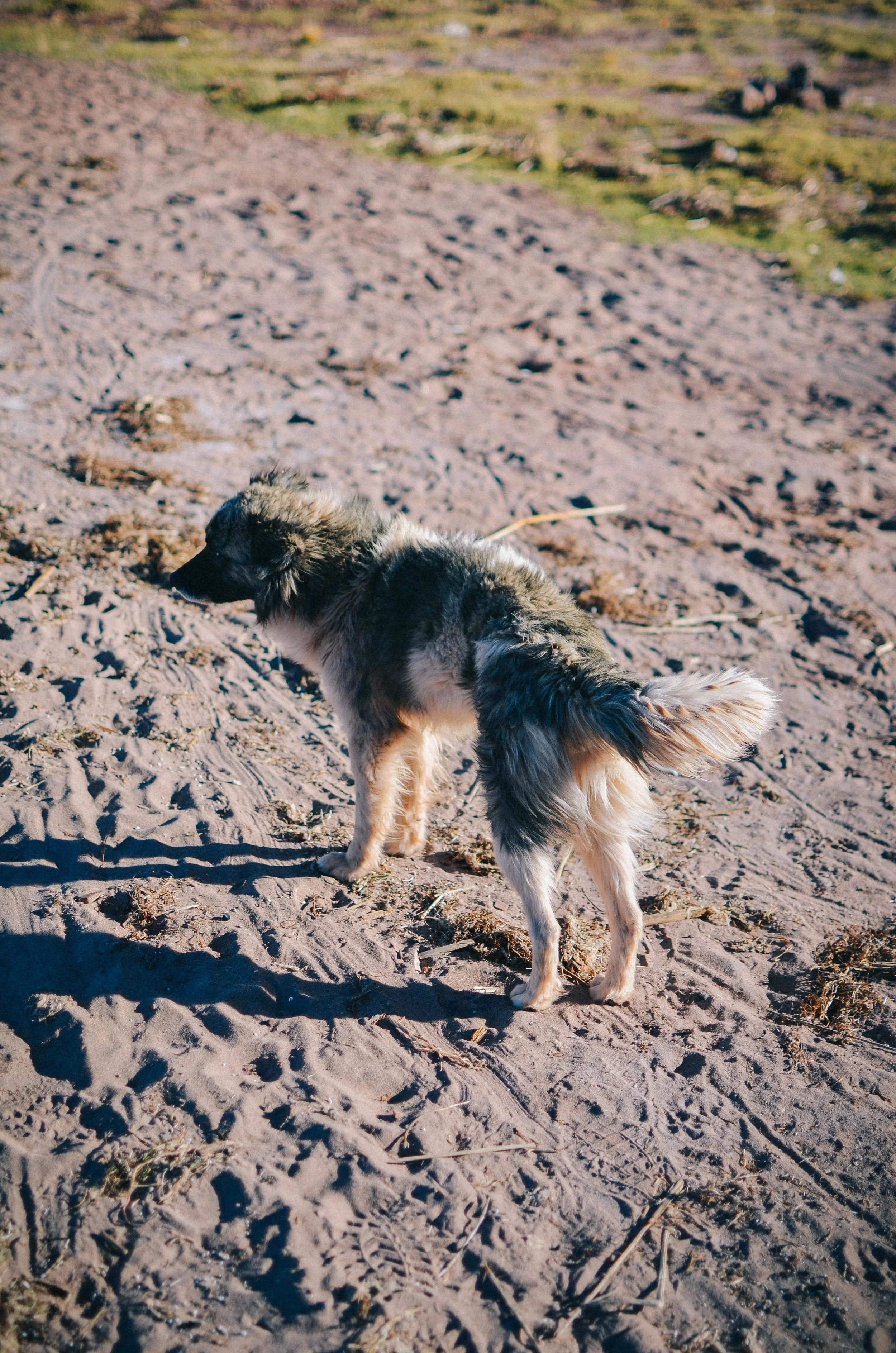 DSC_2107-3.jpg