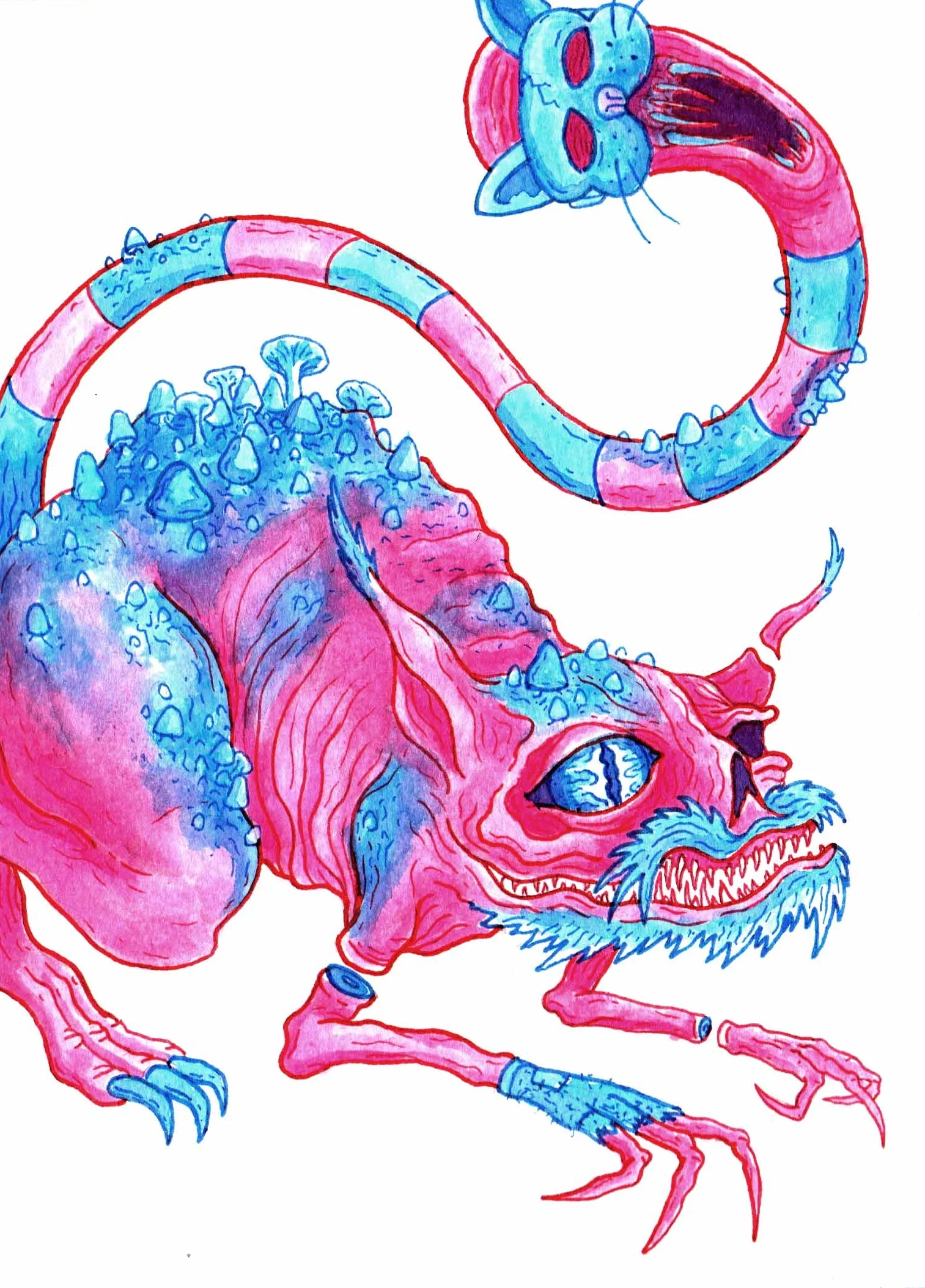 Cheshire Cat 