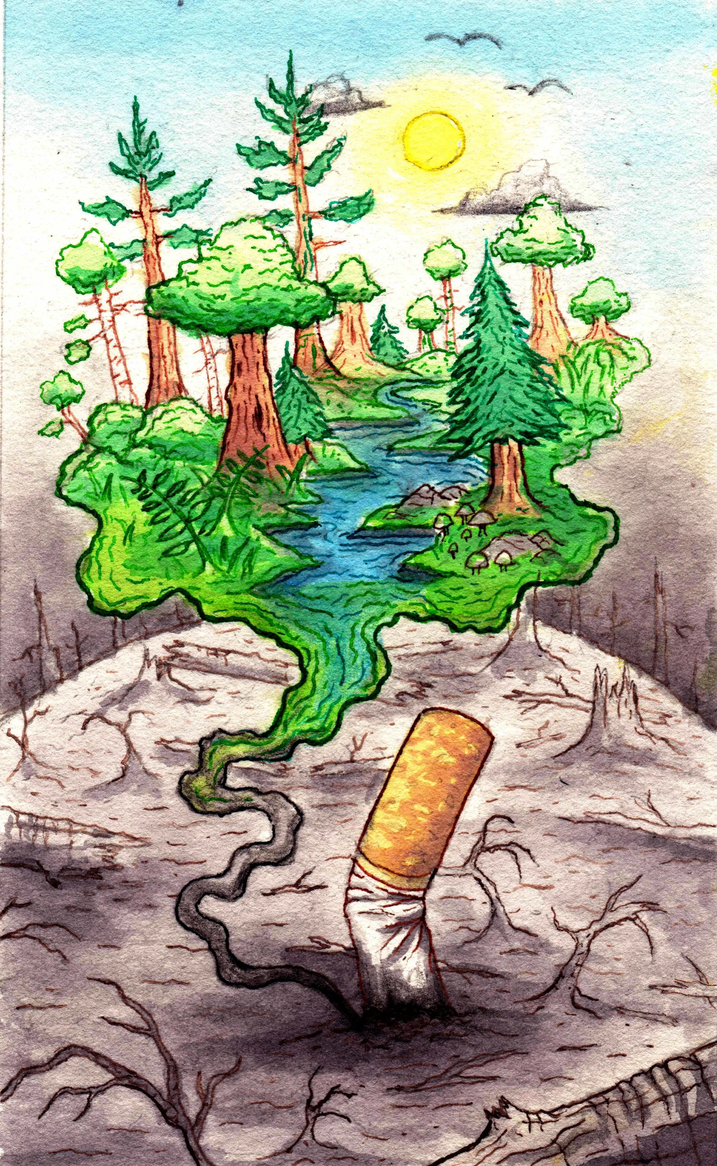 Forest Fire