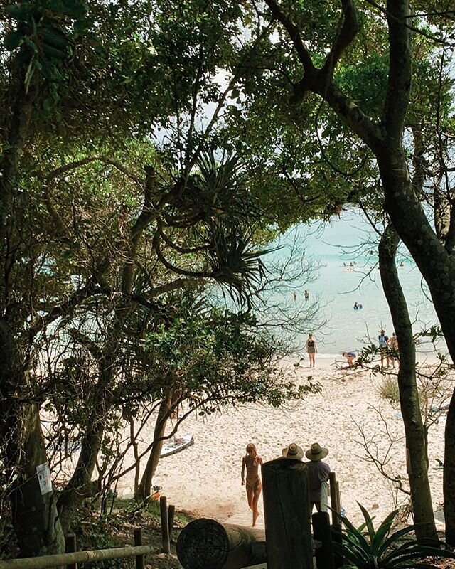 wish I were peaking through these trees down to the beach, ready to lounge on the  shore with my ladies, and enjoy life like we didn&rsquo;t know how good we had it 🐚 .
.
.
.
.
.
.
#beachlife #exploreaustralia #surfaustralia #auslife #byronbay #byro