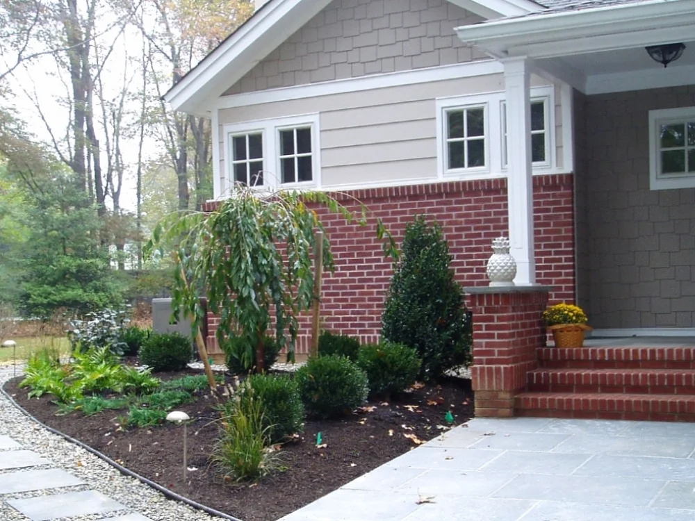 Evergreen Trees & Shrubs