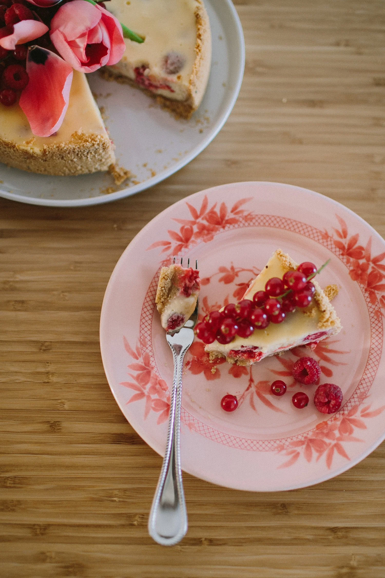 paulagfurio_cheesecake-11.jpg