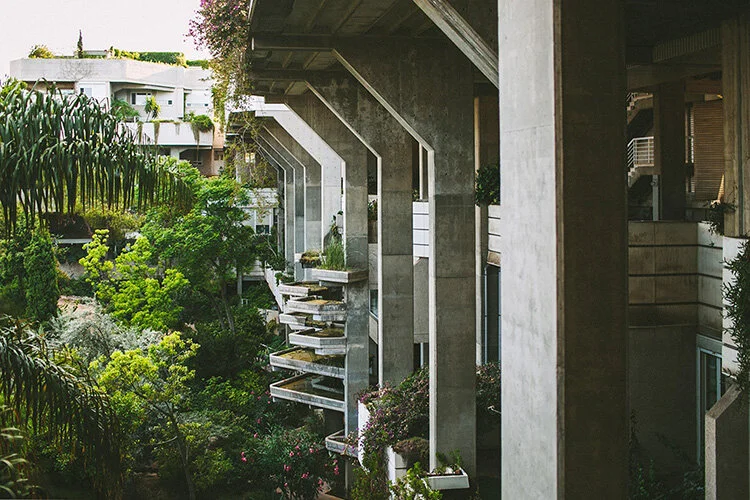 Espai Verd, Antonio Cortés