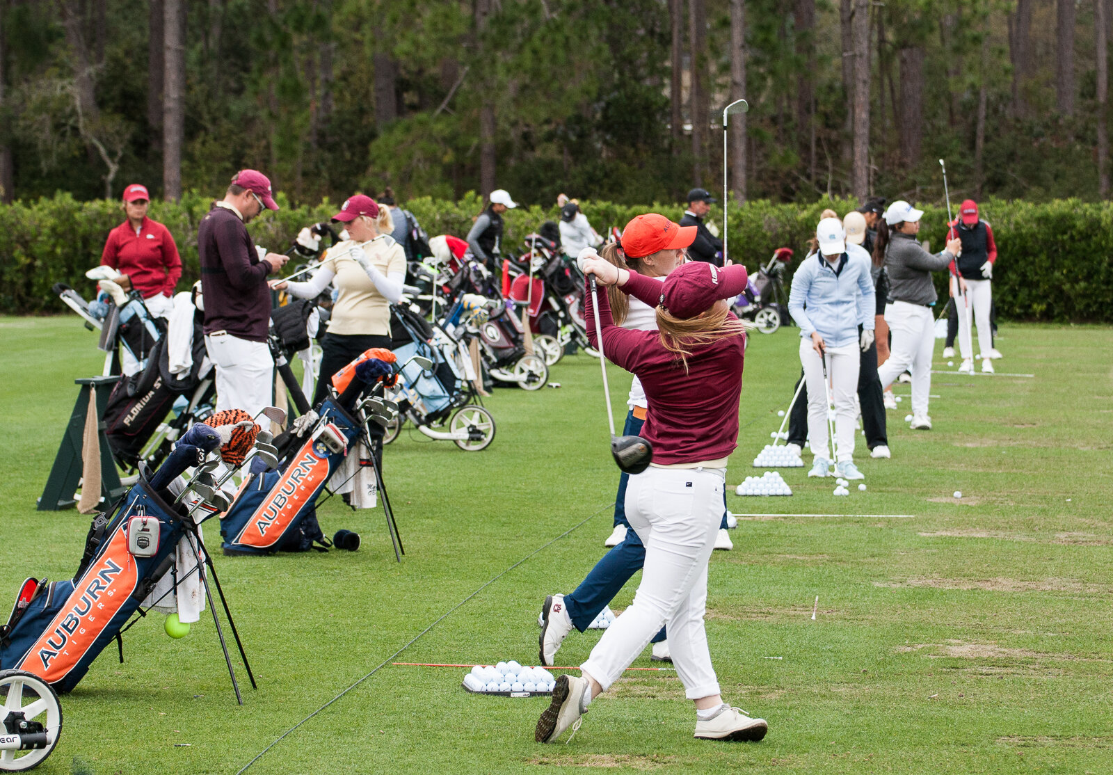 Busy on the Range-6011.jpg