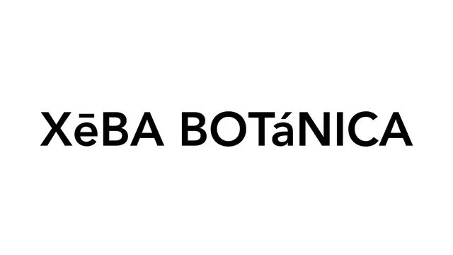 logo-xeba.jpeg