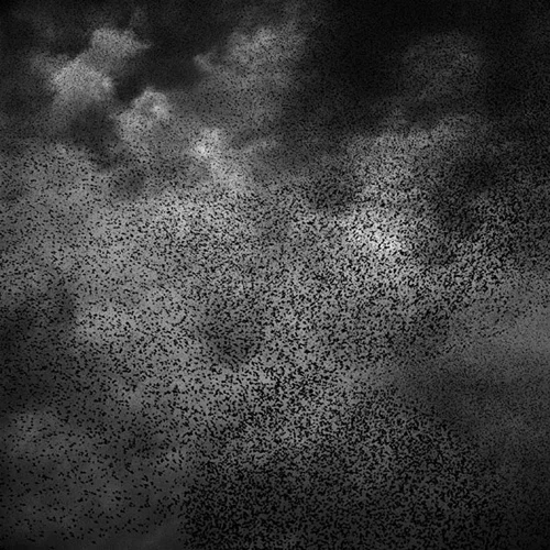 Richard Barnes: from Murmer . Places Like Us exhibition