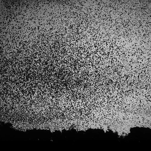 Richard Barnes: from Murmer . Places Like Us exhibition