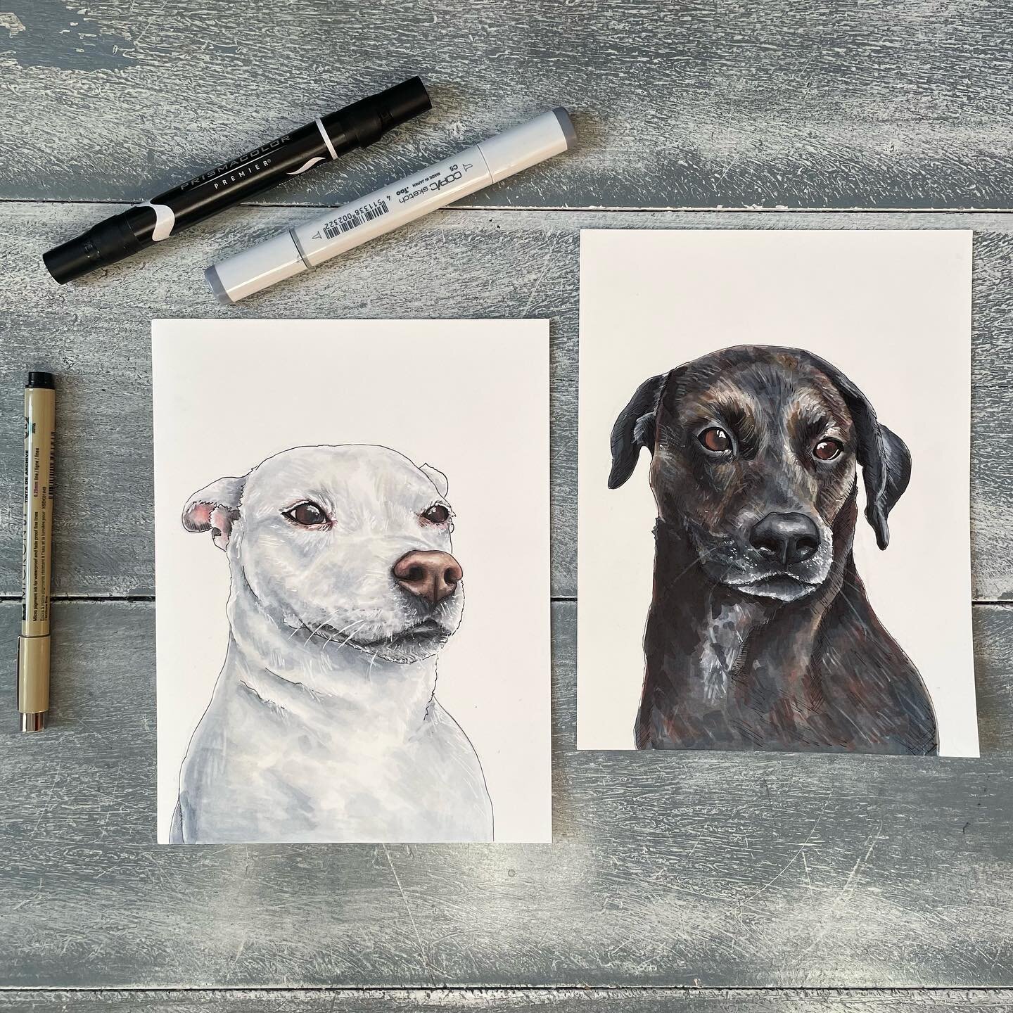 Lilypad and Moose. 💛

See previous posts to watch me draw these two sweet pups! 

#petportrait #petportraits #markerart #markerillustration #markerartist #pitbullove #dogart #animalart #dogdrawing #drawingart #myartstyle #myillustration #etsyseller 