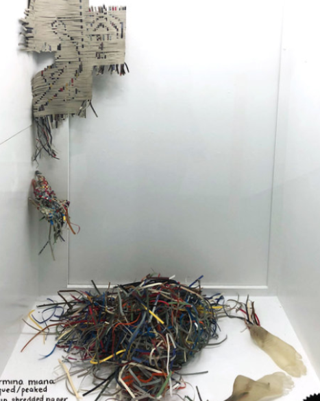 'Piqued/Peaked' by Carmina Miana - December 2018/ January 2019 - Akin Vitrine Gallery Installation.