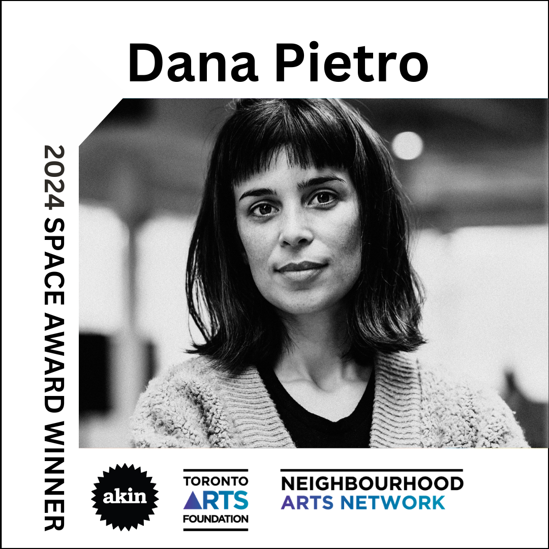 Dana Space Award Akin Art Studios Toronto