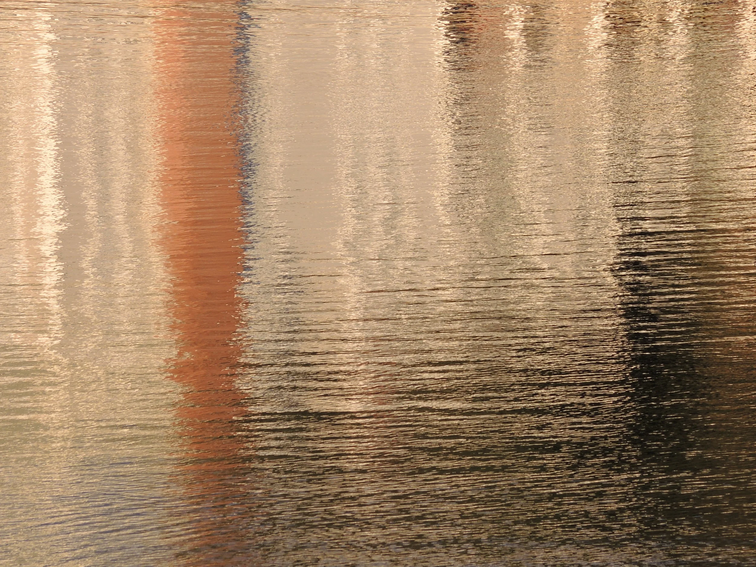 DSCN8904.JPG