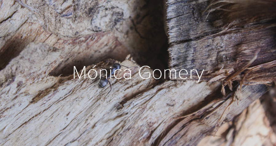 MonicaGomery.png