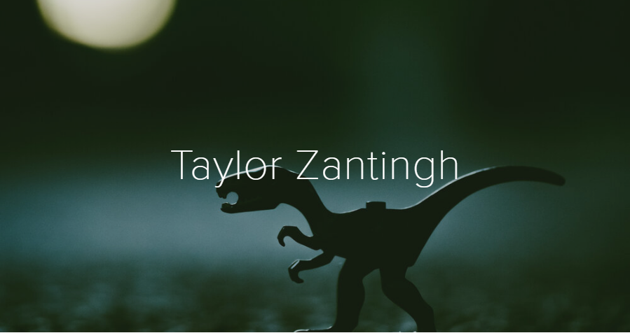 TaylorZantingh.png