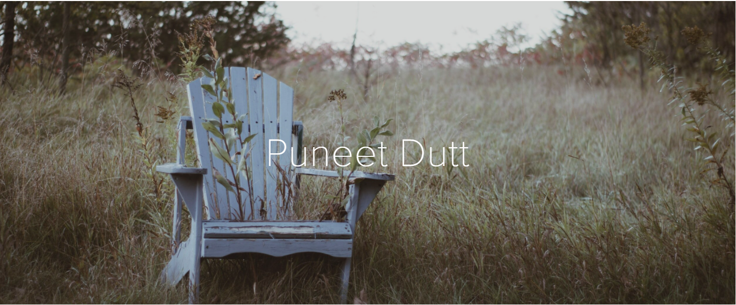 PuneetDutt.png