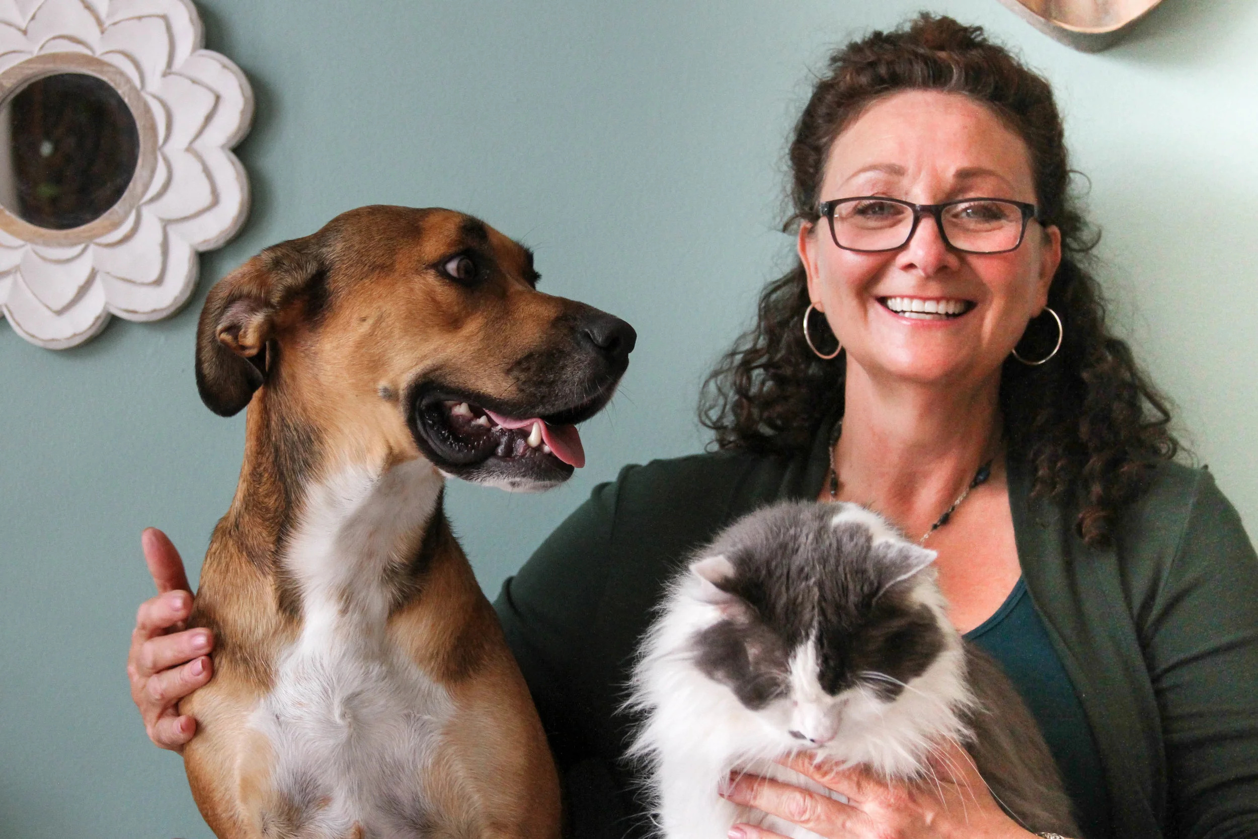 AirBnB host _ Daryl Barker-2817.jpg