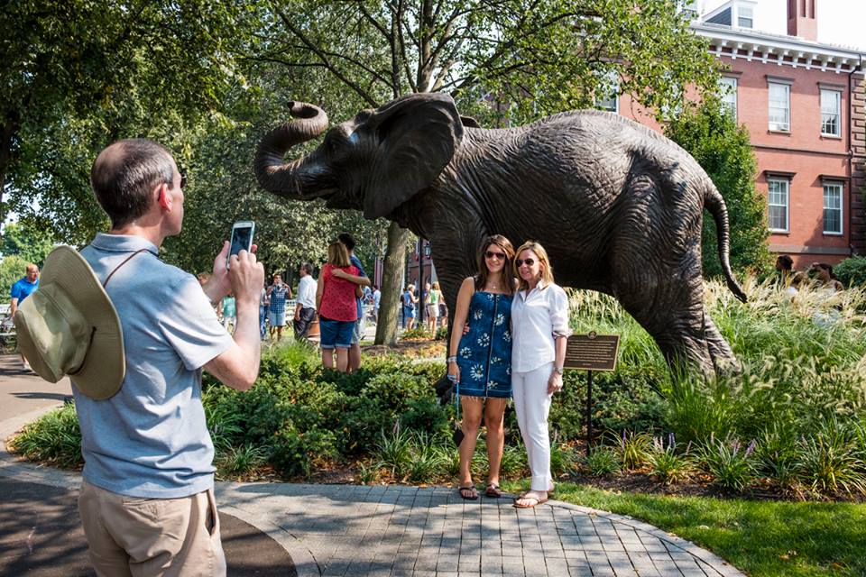   Tufts University &nbsp; &nbsp; &nbsp; &nbsp; &nbsp;   Jumbo's Garden 