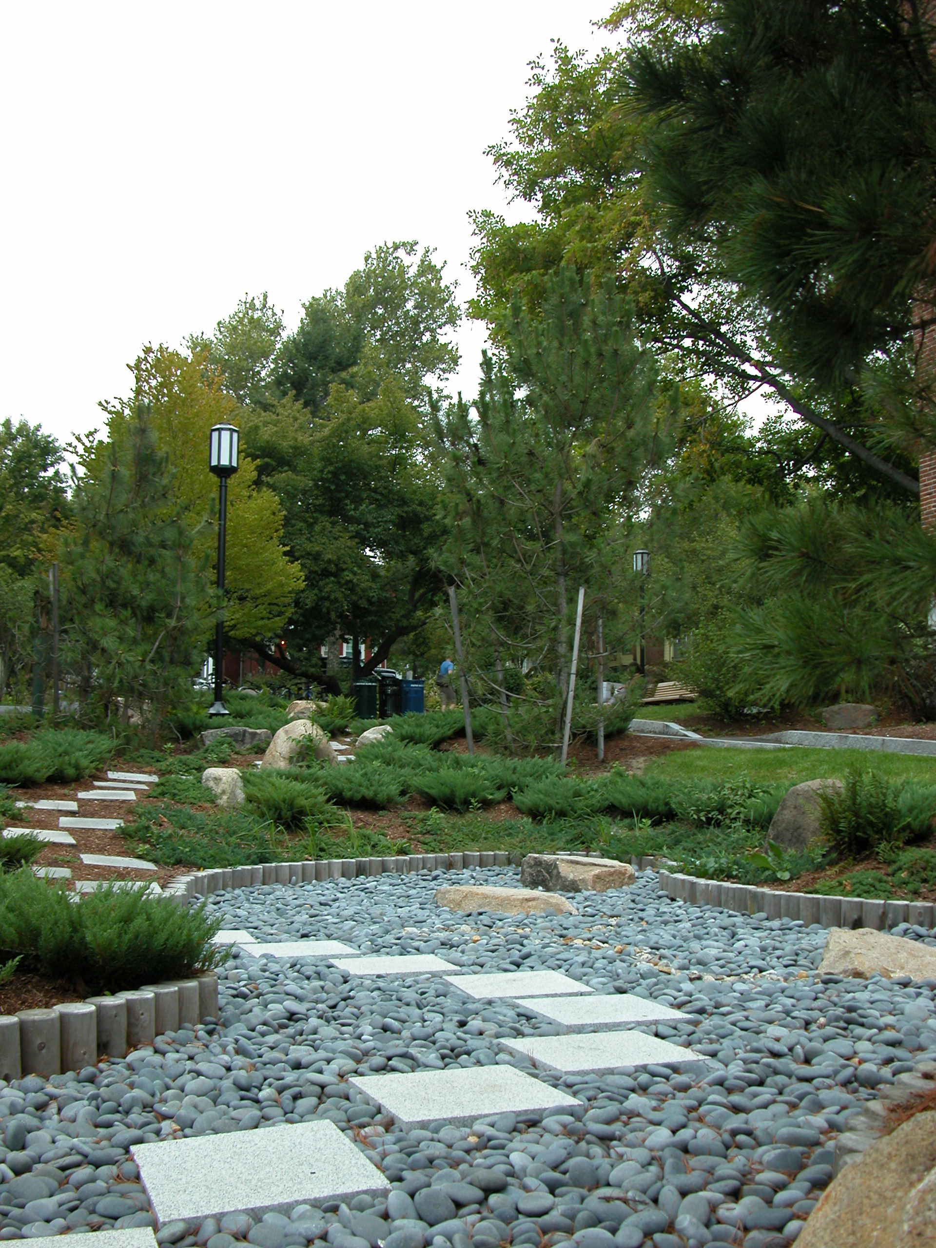   Tufts University  &nbsp; &nbsp;&nbsp;  Lewis Hall Rain Garden 